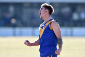 Eagles win battle of the birds