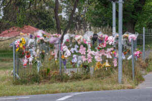 Calls for action after 2nd pedestrian tragedy on Heatherton Rd