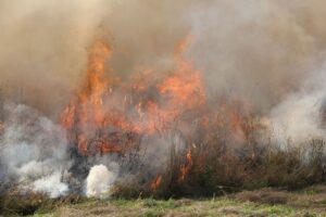 Fire warning for Casey this winter