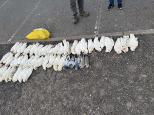 New dead-bird cluster found in Dandenong