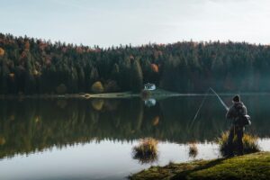 Rainbow trout galore as 35,000 planned for local lakes
