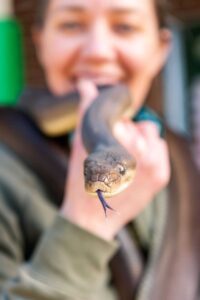 Families flock to Inspire