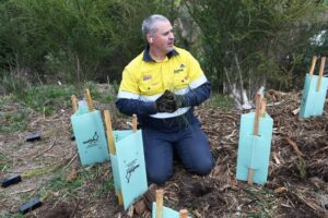 AusNet green thumbs