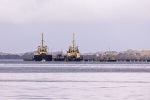 Hastings Terminal plan sparks fresh jobs vs environment row