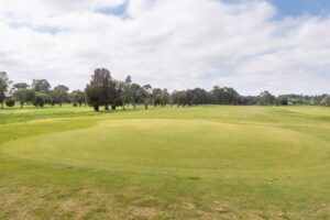 Community questions golf course, lights and cultural centre
