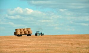 Biosecurity projects funded