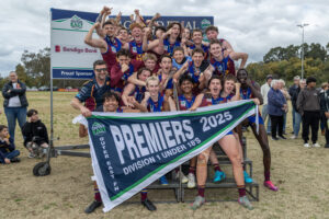 Invincible Lions hoist cup