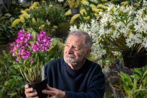 Orchid show on horizon