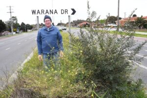 Hampton Park resident frustrated after 18 months of neglected median strip