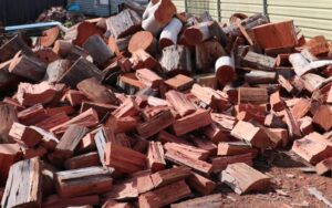 Firewood collection season opens