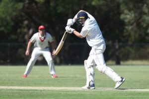 Bears poised to pounce