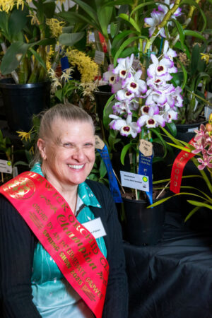 Orchids spring up