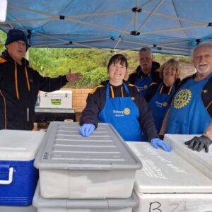 Wet weather doesn’t deter hunters and collectors