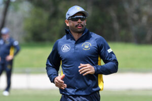 Cobras in dominant mood