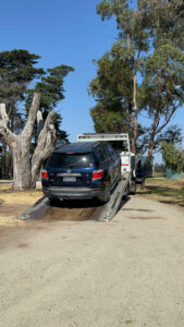 Suspended driver blows 0.177% in Cardinia