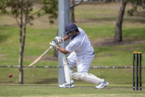 Twin tons set up Lions