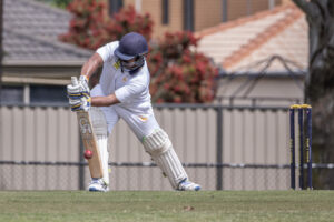 Lions roar with twin centuries