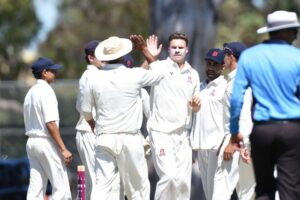 Panthers prowl then pause