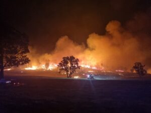 Local firefighters deployed to bushfires across the state, describe ‘devastating’ scenes
