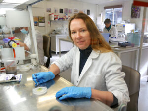 Breakthrough brings hope for endangered midge-orchids