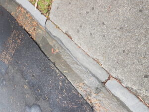 Authorities slammed over leak