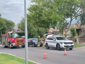 Family devastated by house fire, beloved pets in intensive care