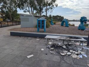 Teens deliberately set Dragon Park ablaze