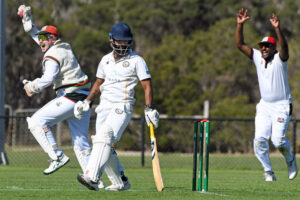 Seagulls dominate Cougars to set up third straight big one