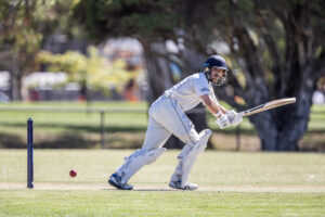 Bears prey on the Bucks