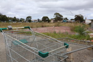 Hampton Park revamp endorsed