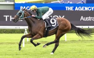 Sheza heading for the stars