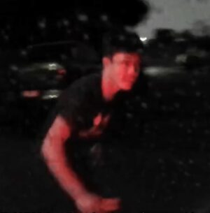 Attempted carjacking in Hallam, police seek offenders