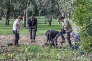 Council creeps toward tree-canopy target